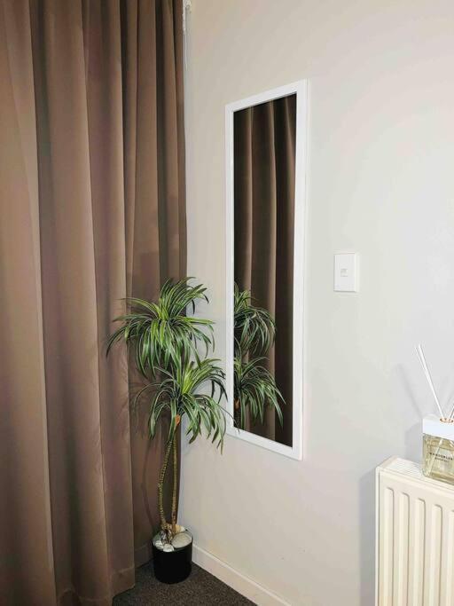 Cosy Motel Studio Apartment In Central City-Up To 2 Beds 基督城 外观 照片
